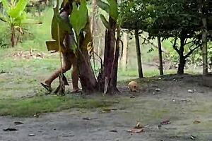 My Colombian Neighbor Visits for Lemons and Gets Milk