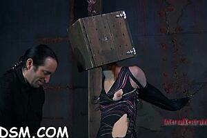 Inflicting Pleasure On Babe's Slit With Blowjob And Hardcore Fucking