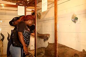 strange park meeting with huge cock filling mouth and ass