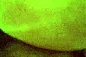 Unfaithful Lawyer Breaks In Secretary's Pussy And Ass