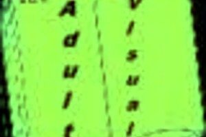 my bully is my lover 16