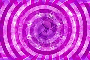 Are you ready for bbc sissification on the dark road?