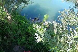 Lost Petite Girl Sucks Cock After I Save Her