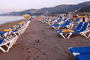 Serena Slays, I'm Playing With Your Tight Wet Pussy Until You Cum And Get My Huge Load