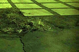 Outdoor Orgy with Big Amazon Domination for First Time Teen 18+