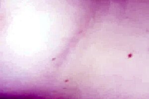 A guy gives his naked wife a relaxing massage that turns into intimate masturbation