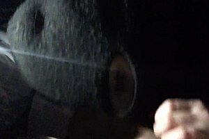 can you handle my rough femdom blowjob in the car? deepthroat and handjob included.