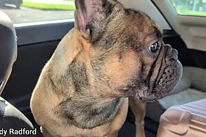 Gold Coast Holiday Vlog with Cute Aussie Babe