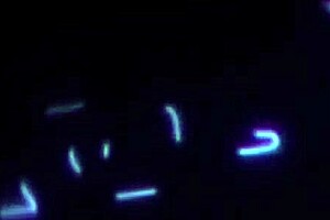 Brunette MILF Cheats With Best Friend, Tits Covered In Cum