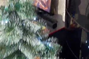 my step sister showed me her christmas costume and gave me her holes as a gift with legs pierced nipples girlfriend desk piercing babe nipples big natural tits outdoor friend