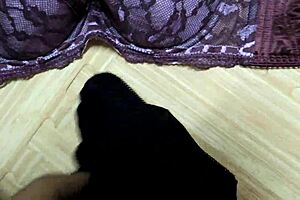 Cumshot on my step sisters pink leopard print bra with black lingerie