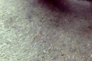 gets fucked by stepdad for hula hooping, anal fingering.