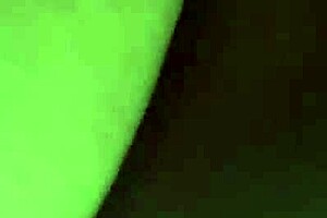 Pawg In Car For Thanksgiving