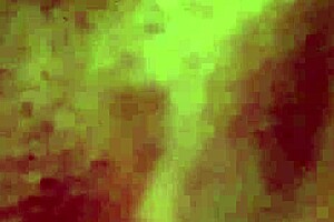 The Bride Shows Her Huge Pussy Lips