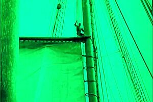 Vintage Orgy With Monster Cocks And Hairy Beavers In Dragonfly Freddie