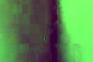 On All Fours, Take My Virginity!