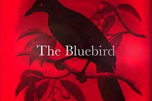 Vintage Orgy With Monster Cocks And Hairy Beavers In Dragonfly Freddie