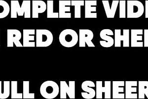 sex with french girl in public setting