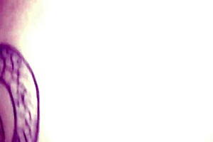 Let the corner whore stay on porch she fucks me good in thanks 😏