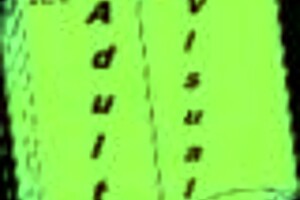 My Bully Is My Lover