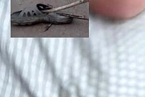 Great Fun Sex of Two Lovers in Bedroom