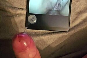 mark bored tribute to pasticcioni