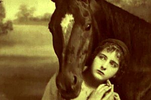 victorian gentleman's erotic confessions from his secret life