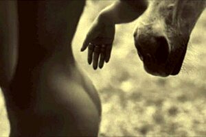 victorian gentleman's erotic confessions from his secret life