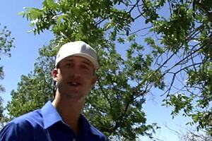 Sweet Schoolgirl Delivers Stunning Blowjob to Her Teacher