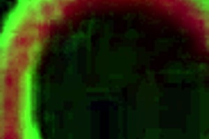 what a deep throat aria khaides throat was made 4 romes bbc