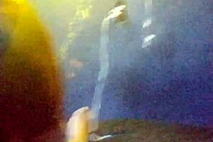 she loves deepthroating the whole cock and balls.