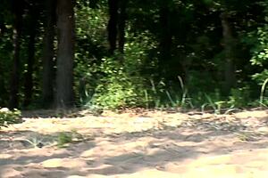 Four girls camp and play wild with each other.