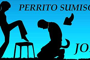 Transform Into My Personal Pet Dog For JOI!