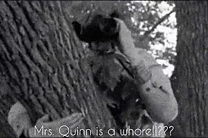 Mrs. Quinn, The Disgruntled Housewife, Deals With Daily Struggles