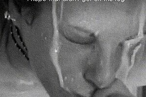 Mrs. Quinn, The Disgruntled Housewife, Deals With Daily Struggles