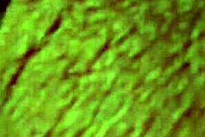 Black Milf Riding A Cock