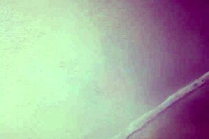 couple shares tender blowjob moment