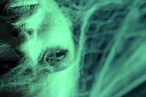 We got taked by aliens for a live sex show, and it was so rough