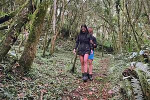 hermanastra se va a follar al bosque y recibe el cum en sus tetas