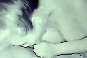 horny housewife craves two cocks at home