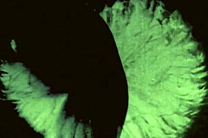 dark lantern entertainment presents vintage sin city with anal blowjobs and fucking, hairy beaver pussy action!! 😈