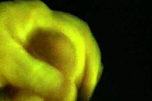 Intriguing business jerk off session with cum