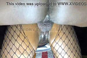 Naughty America Wetpussynaija fucks student to keep his mouth shut. 😏 Dripping wet pussy action.