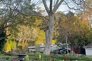 beautiful petite blonde flashes in public with small tits