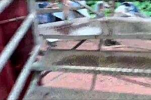 Es el mejor video de sexo en publico que veras te recomiendo mirtar el final donde nos pillan