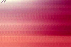 Bts - Yessica Bunny Pissing Dap Ltp355