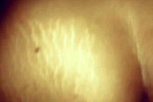 i get fucked while dildo in my ass waiting for anal