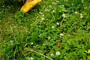 lifestyle sex vlog compilation with milf brunette on vacation