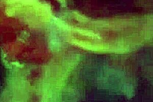 filipina amateur teen anal fucking with cumshot in reality scene