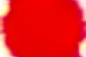 Russian best friends explore rimjob fun in group sex.